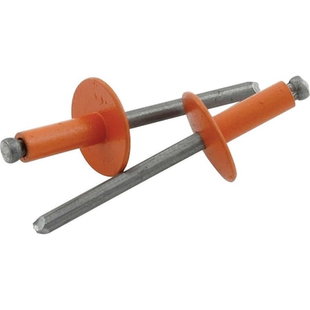 Allstar Performance Large Head Rivet; Orange, 250PK ALL18178